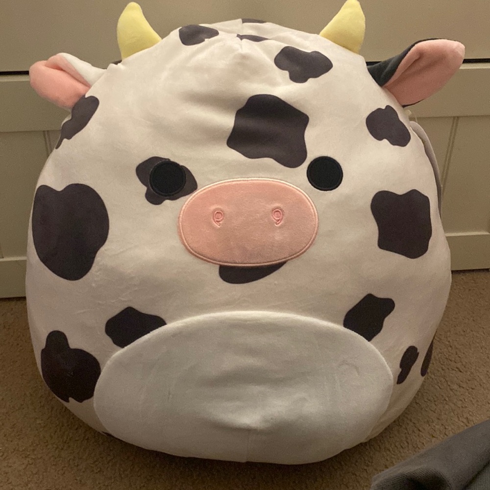 Colin cow Squishmallow